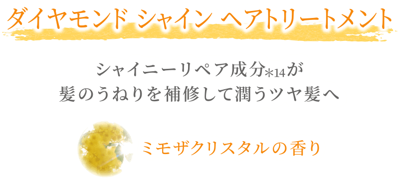 ダイヤモンドシャイン トリートメント
