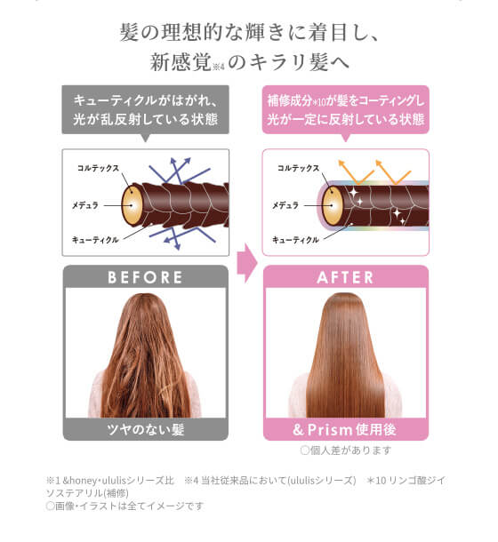 髪の理想的な輝きに着目し、新感覚のキラリ髪へ